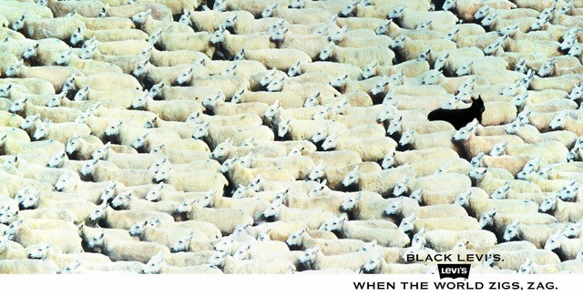 /media/ixihkuc2/cerna-ovce