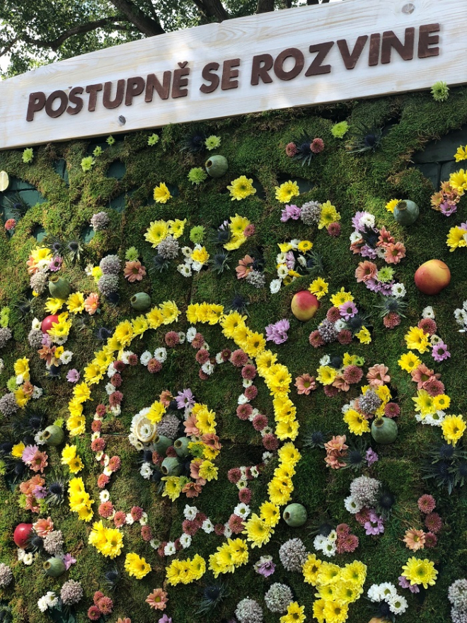 /media/4899/birellbotanicals_mandala