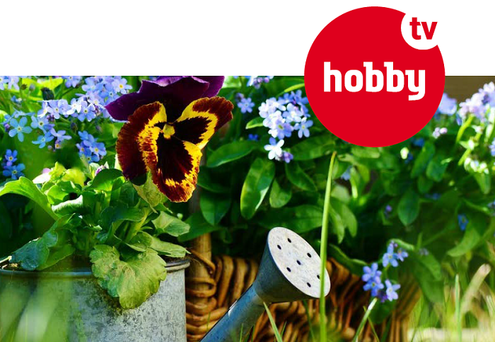 /media/5978/hobby-tv