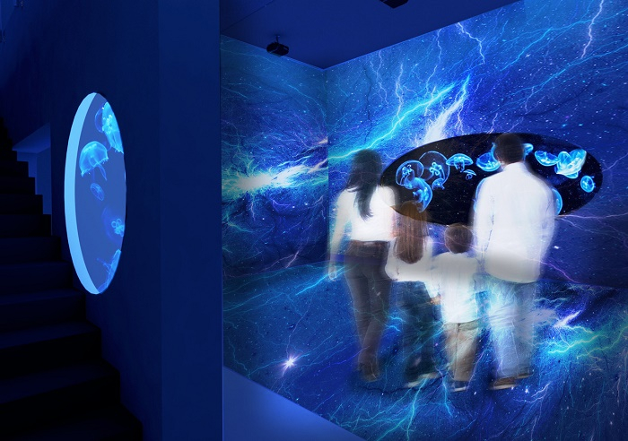 /media/10189/arkady_svetmeduz_3