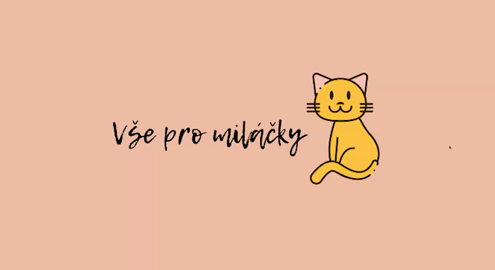 /media/16580/brandstorming_vsepromilacky