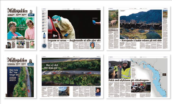 /media/19394/hallingdolen