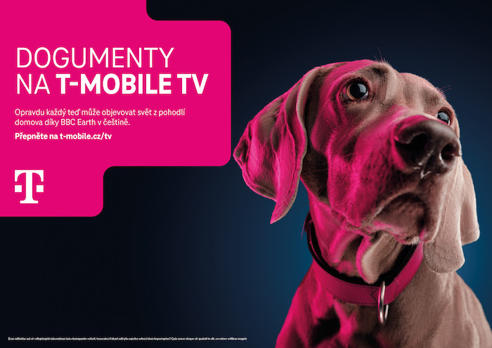 /media/23056/t-mobile_tv_dog