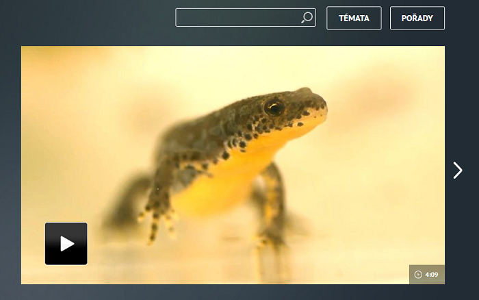 /media/5738/aktualne-tv