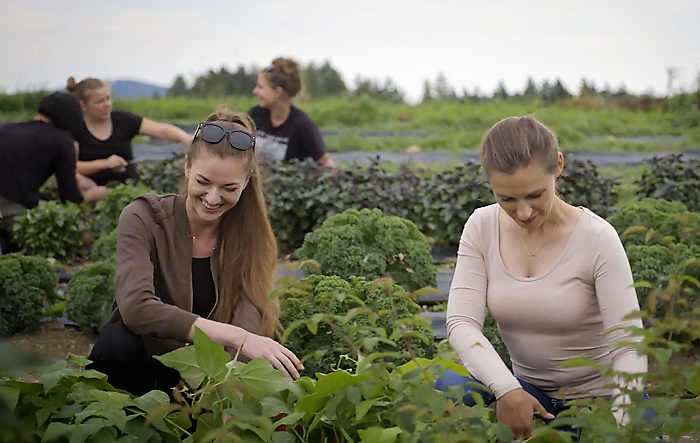 /media/15322/milionar-mezi-nami