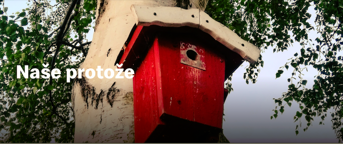 /media/16606/mcdonalds_naseprotoze_2