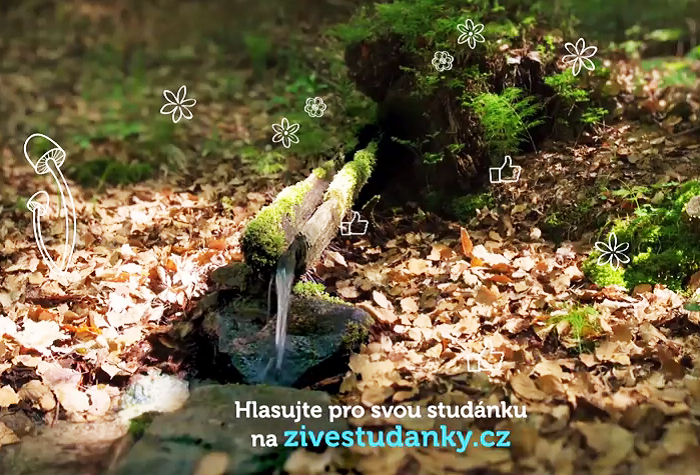 /media/4290/zive-studanky