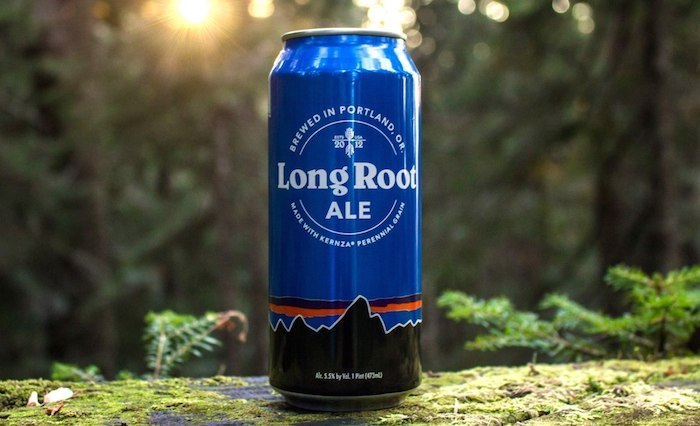 /media/7236/drank_longrootale_chadbrigman