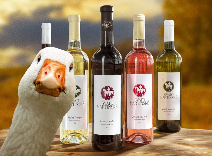 /media/22900/svatomartinske_bez-lidi