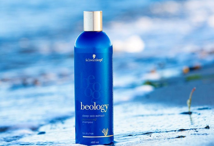 /media/4049/schwarzkopf