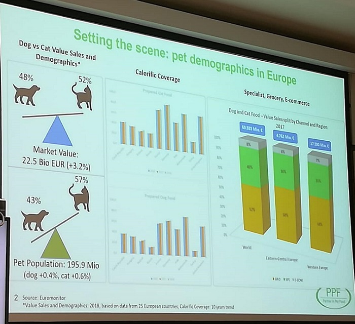 /media/7998/retail_pets_albino_zamboni_2