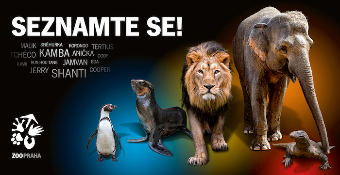 /media/25635/zoo-praha-vizuál