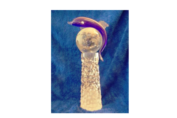 /media/19513/cms_delfin