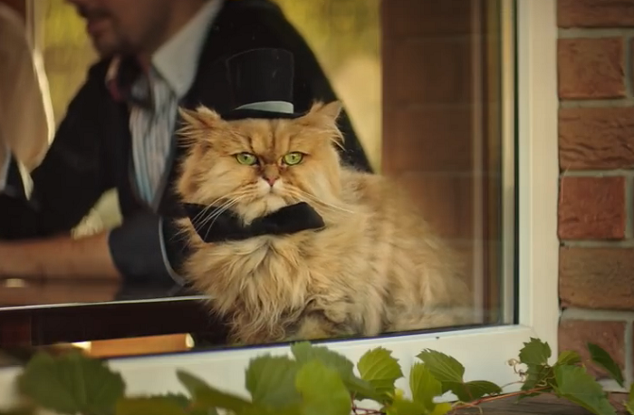 /media/6131/mmb_2018_svatba