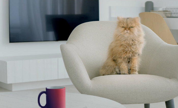 /media/11484/moneta-money-bank