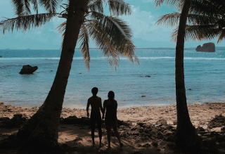 /media/2tmakezf/tropic-seznamka_unsplash