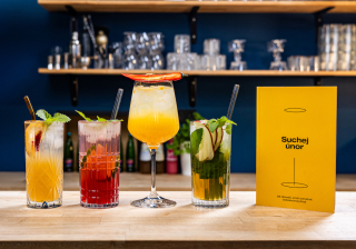 Mattoni_SuchejUnor_2026