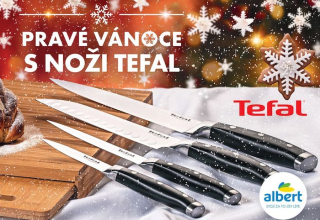 /media/14630/albert_2020_tefal