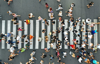 /media/13307/lide_shutterstock