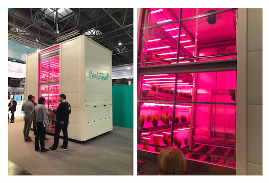 Ukázka skleníku v místě prodeje (zdroj: DAGO)